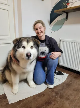 Stagiair Delila zit op de vloer naast Odin, een alaska malamute