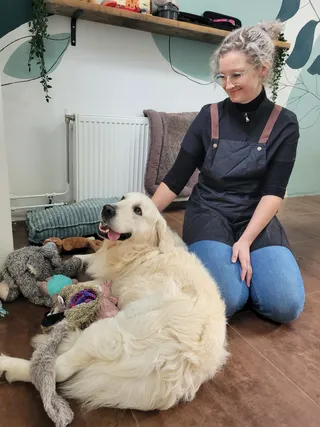 Stagiair Delila zit op de vloer bij Olle, een golden retriever, tussen de knuffels