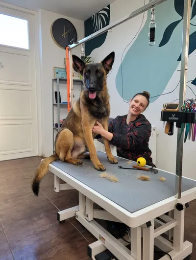 Cynthia knielt lachend naast Eddie, een duitse herder, op de trimtafel