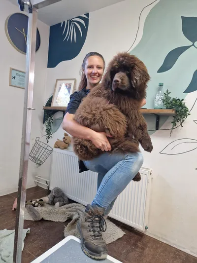 Cynthia houdt Humphrey, een bruine newfoundlander pup, lachend in haar armen