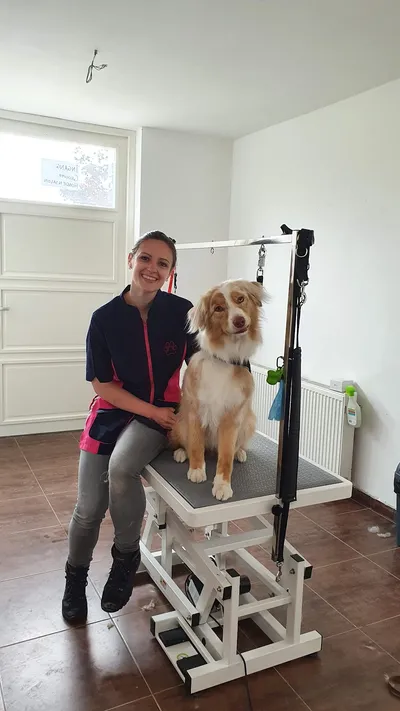Cynthia zit naast Luna, een australische herder, op de trimtafel