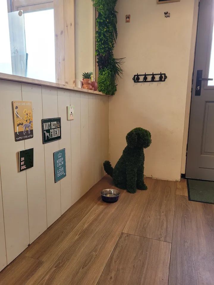 De entree met een groen hondenbeeld, bordjes aan de muur en een waterbak