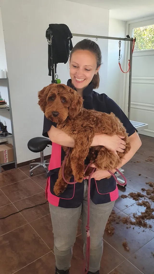 Cynthia houdt Soof, een labradoodle, in haar armen