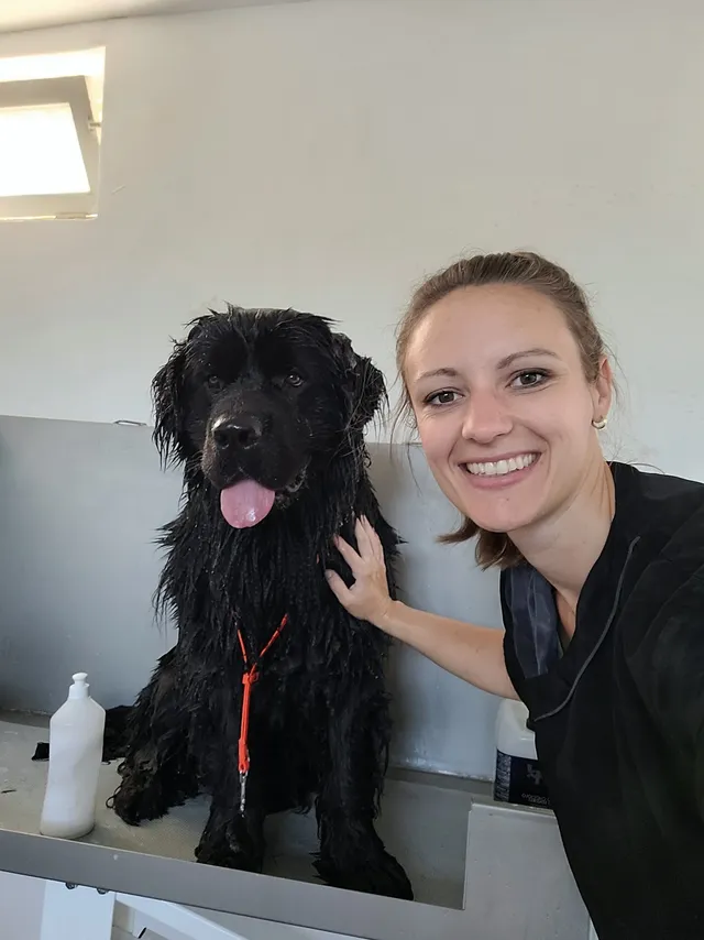Cynthia met Vegimite, een newfoundlander