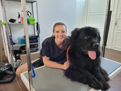 Cynthia lacht naast Vegimite, een newfoundlander, op de trimtafel