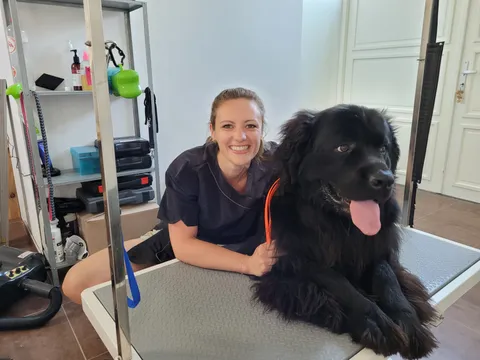 Cynthia zit gehurkt achter de trimtafel met Vegimite, een newfoundlander, die in de camera kijkt
