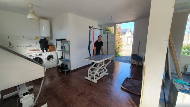 De verbouwing van de salon, foto 6